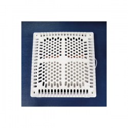 کفشور-استخر-هایوارد (2)